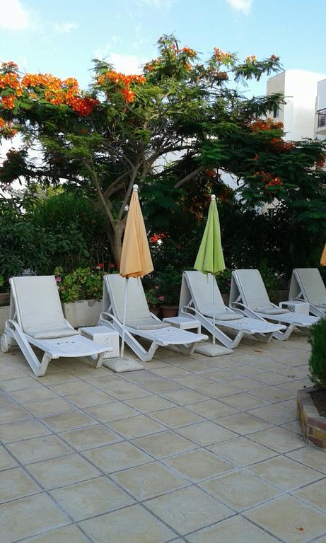 Nicos & Olympia Apartments Polis Luaran gambar